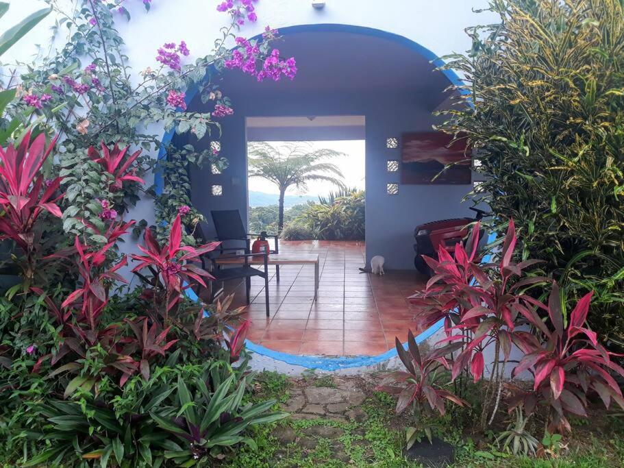 דירות Las Piedras Swim & Paint Art Retreat מראה חיצוני תמונה