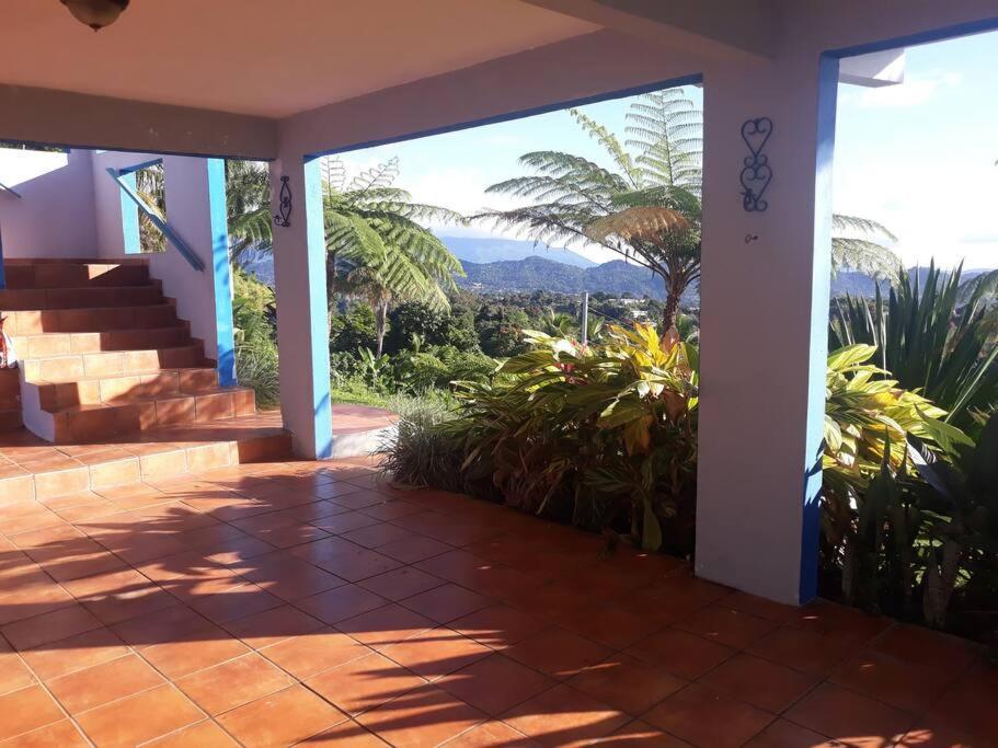 דירות Las Piedras Swim & Paint Art Retreat מראה חיצוני תמונה